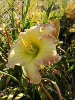 IMG_20190727_115310.webp