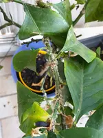 20190727_114705.webp