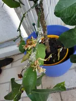 20190727_114632.webp