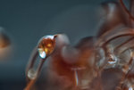 0M3A0984.jpg