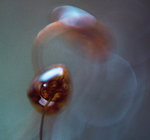 0M3A0987.jpg