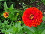 DSC00554.JPG