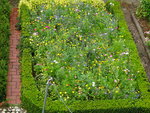 DSC00550.JPG