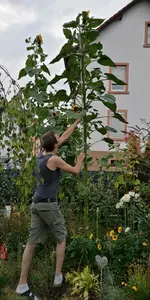 DE1C630D-1FDB-4851-9F1A-20D14ED777E6.jpeg