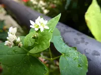 P1060338.webp P1060338.webp