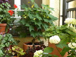 P1060344.JPG