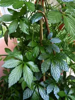 P1060341.webp P1060341.webp