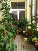 P1060343.webp P1060343.webp