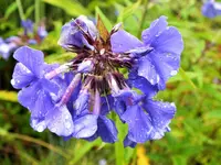 DSCF2660 (2).webp