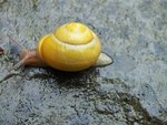 DSCF2658 (2).JPG
