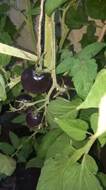 20190728_093544.webp