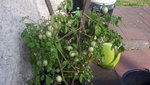 20190728_093314.jpg