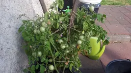 20190728_093314.webp