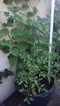 20190728_093455.jpg