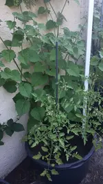 20190728_093455.webp