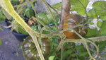 20190728_093349.jpg