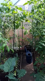 20190728_093800.webp