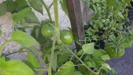 20190728_093400.webp