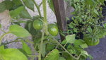 20190728_093400.jpg