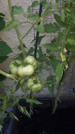 20190728_093502.webp