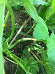 IMG_2081.JPG