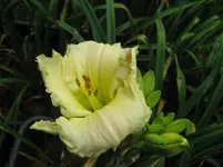 esp_1067x800.webp