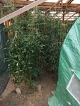 IMG_2107.JPG