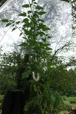 DSC05064.JPG
