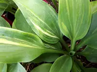 20190728_151713.jpg