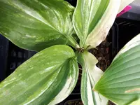 20190728_151558.jpg