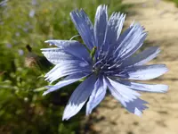 P1100234.webp