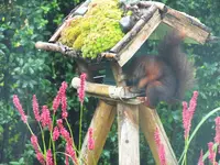 DSCF2663 (2).webp