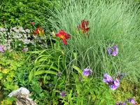 DSCF2607 (2).webp