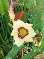 20190725_112821.webp