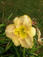 20190728_130344.webp