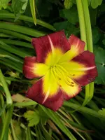 20190728_130313.webp