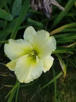 20190727_110515.webp