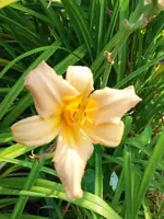 20190727_110559.webp
