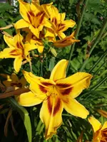 20190720_102144.webp