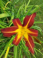20190726_121305.webp