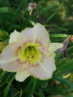 20190724_101248.webp