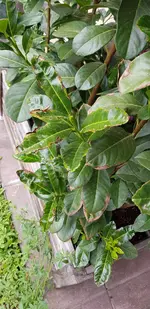 20190707_174451.webp