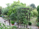 IMG_6778.JPG