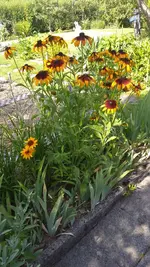 IMG_20190720_165430302.webp