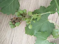 IMG_20190729_141832.webp
