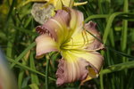 DSC08124.JPG