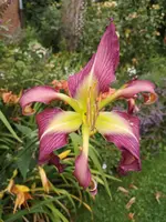IMG_20190729_184239.webp