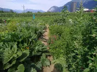 IMG_20190727_093653.webp