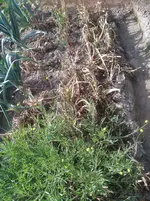 IMG_20190727_094024.webp