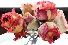 image001.webp image001.webp